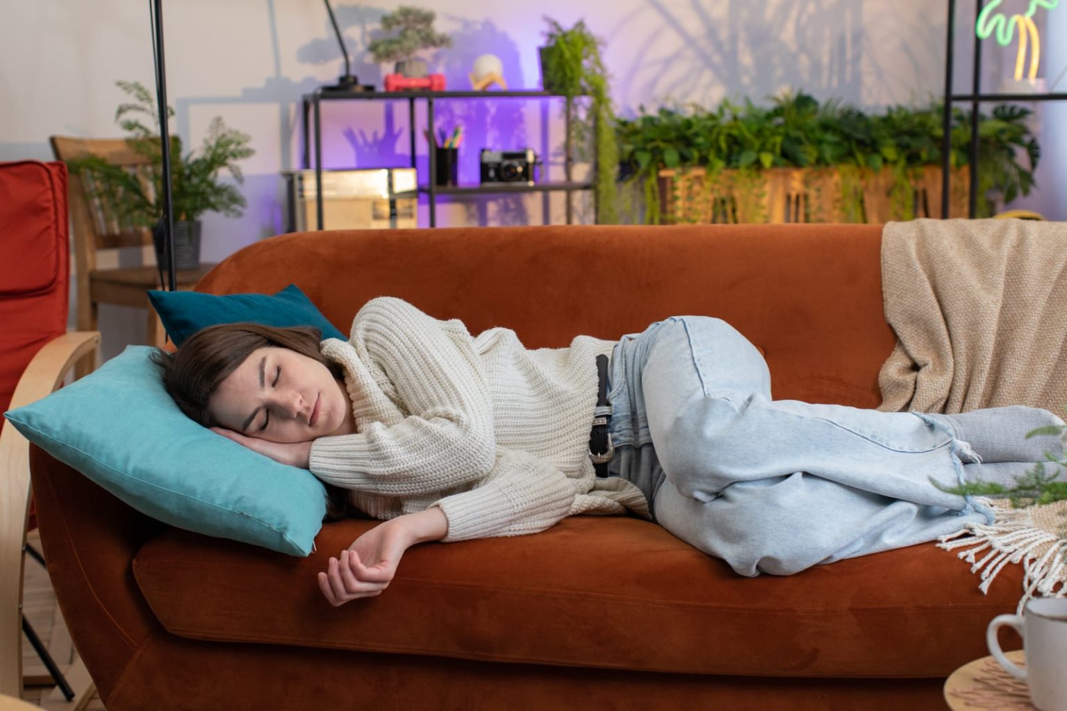 Reasons and Factors for Choosing the Right Modern Sofa Bed for Your ...